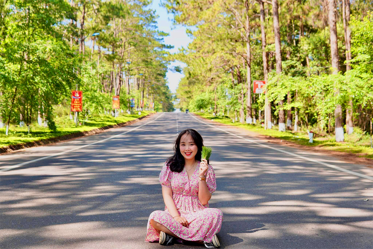 Check-in tại Đường thông Măng Đen